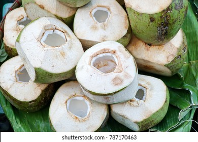 The young coconut is tasty for drinking juice and nice meat to eat. In meat and coconut oil, there are vitamins and minerals needed for the body, such as vitamin C, vitamin B, amino acids, calcium.