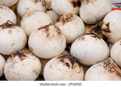 young coconuts