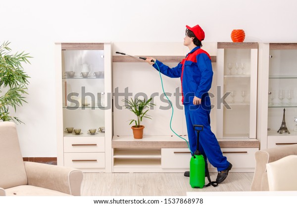 Young contractor
doing pest control at
home