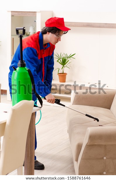Young contractor\
doing pest control at\
home