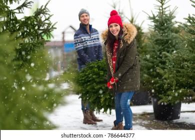 Young Couple Buying Christmas Tree