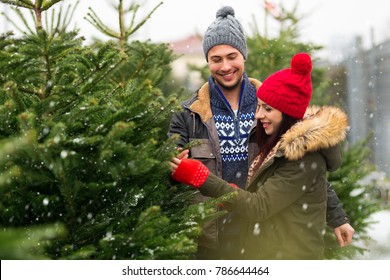 Young Couple Buying Christmas Tree