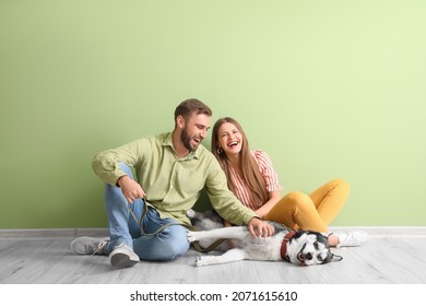 Young Couple With Cute Husky Dog Near Color Wall