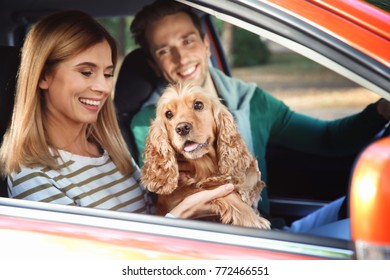 Young Couple With Dog In Car