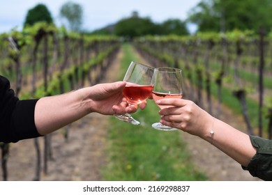 Young couple hands toasting with glasses of rose wine among grapevines