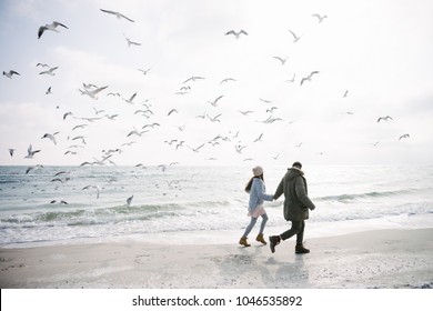 Young Couple Holding Hands And Walking On Winter Sea Shore And Looking At Seagulls