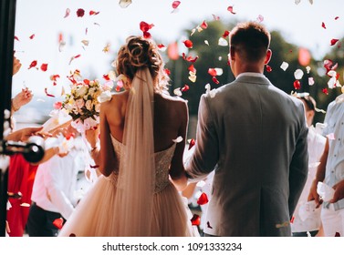 young couple in love.Wedding photo.Rose petals over a couple in love