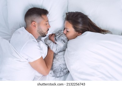 Young Couple Lying In The Bed With Adorable Cat. Woman Kissing Cute Cat. Love For Cats Or Pets. Sleep With Pets