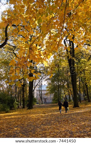 Similar – Image, Stock Photo An autumnal path with trees and light and shadow