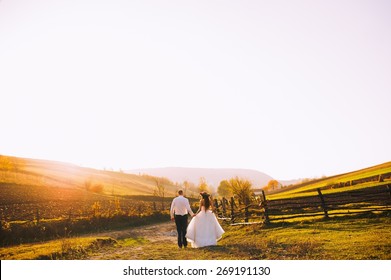 young couple on a walk in a field - Shutterstock ID 269191130