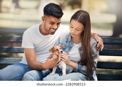 Young couple, puppy and relax in park, bench and summer sunshine with happiness, care and bonding. Man, woman and small dog with touch, smile and hug for love, romance and family in nature together - Powered by Shutterstock
