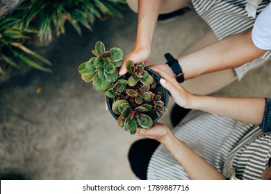 Young couple relax in the garden. They care plant and flower. - Powered by Shutterstock