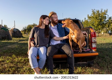 Young couple sitting on the back of a pickup truck with their trustful guardian a canine American bully, couple canine relationship - Powered by Shutterstock