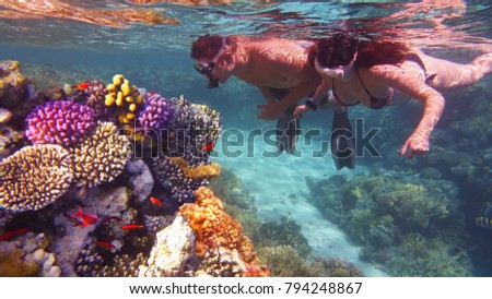 Young couple snorkeling and admiring beautiful colorful coral reef