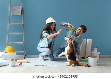 Young couple with tape measure and Beagle dog near blue wall during repair in their new house - Powered by Shutterstock