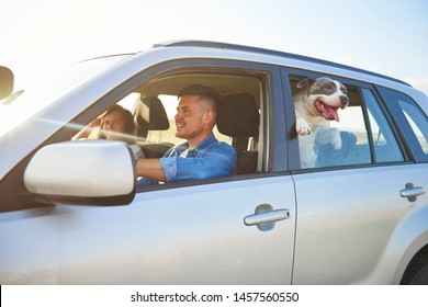 Young Couple And Their Dog Traveling By Car