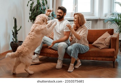 Young couple training their pet labrador dog, giving treats while sitting on the sofa in the living room at home, having fun together. - Powered by Shutterstock