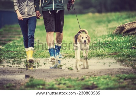 Similar – Image, Stock Photo Cute wet puppy dog with foam on head in shower