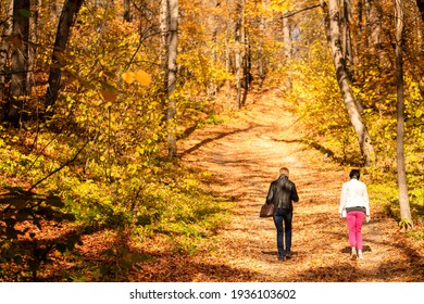 Young Couple Walking In The Autumn Park