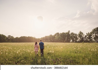 Young Couple Walking In The Field With Flowers In Sunlight