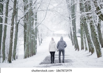 Young Couple Walking Through Alley Of Trees In White Snowy Winter Day At Park After Blizzard. Fresh First Snow. Enjoying Peaceful Stroll. Dating Concept. Back View.