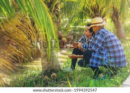 Young couples farmer gardening, checking quality together in the coconut garden. Agricultural concepts.