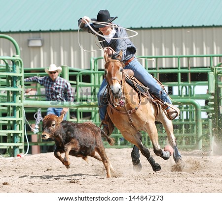 Young cowboy on a horse competing in calf roping during a rodeo.