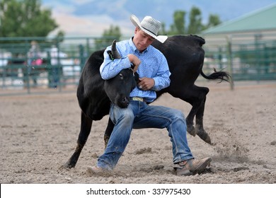 Young Cowboy Wrestling A Steer During A Rodeo