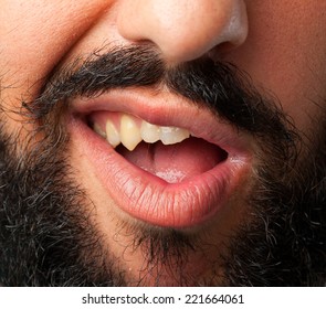 Young Crazy Bearded Man. Mouth Close Up