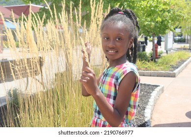 Young Cute African American Girl Smiling Outside Wearing Colorful Summer Dress  Holding Long Grass 