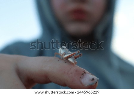 Young cute boy examining grasshopper that's resting on his dirty finger, close up view of nature's details