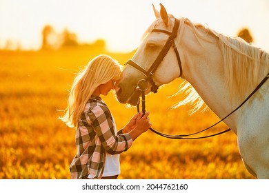 Young cute happy joyful satisfied smiling woman hugging and stroking beautiful white horse at meadow at sunset at golden hour  - Powered by Shutterstock