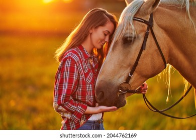 Young cute happy joyful satisfied smiling woman with closed eyes enjoying of hugging and stroking beautiful blond palomino horse at meadow at sunset