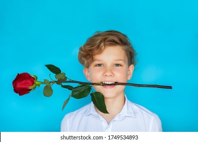Young cute teen boy in white shirt with forelock holding red rose by his mouth and smile on blue background. Copy space
