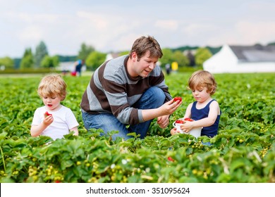 Young Dad And Two Little Kid Boys, His Sons Having Fun On Strawberry Farm In Summer. Happy Family Of Three Eating Healthy Organic Food, Fresh Berries. Children And Father.