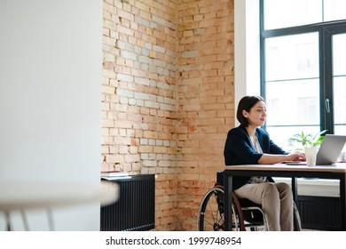 Young disabled business woman in wheelchair working at office desk and with laptop, accessibility and independence concept