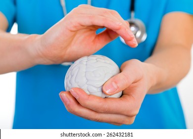 Young Doctor Holding A Plastic Brain In Hands