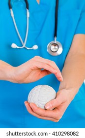 Young Doctor Holding A Plastic Brain In Hands