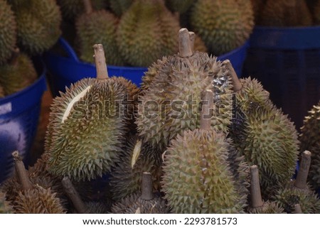 young durian damage by summer strom,Durian fruit is placed in a basket for sale to the buyer in fruit market,Thailand.Durian that is known as the king of fruits of Thailand.