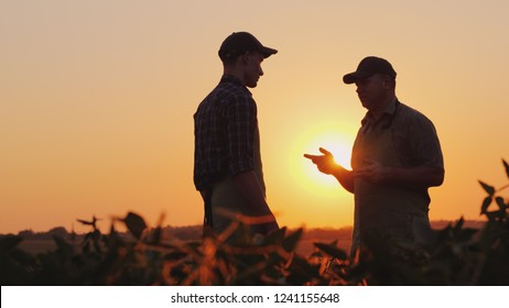A young and elderly farmer chatting on the field at sunset