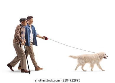 Young And Elderly Man Walking With A Retriever Dog On A Lead Isolated On White Background