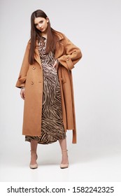 Young Elegant Woman In Trendy Brown Coat.  Zebra Print Dress, Isolated Studio Shot