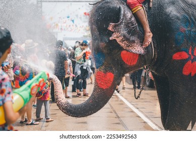 Young elephant enjoying himself and splashing water during Thailand's Songkran Festival.