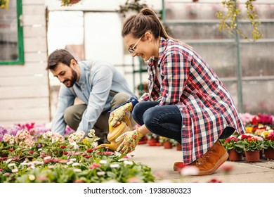Young entrepreneurs crouching, watering flowers and they preparing for preparing flowers for international women day.