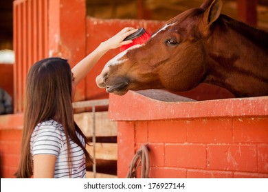 Young Equine Therapy Patient Brushing A Horse's Hair At The Stables