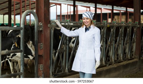 Young European Worker Taking Care Of Dairy Herd In Livestock Farm