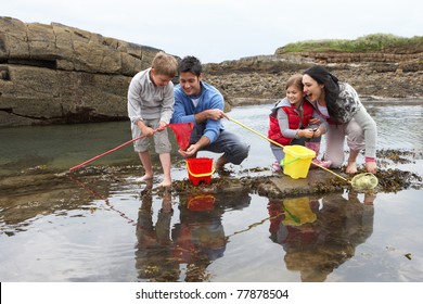 Young Family At Beach Collecting Shells