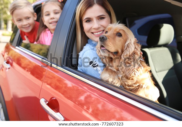 Young family with\
children and dog in car