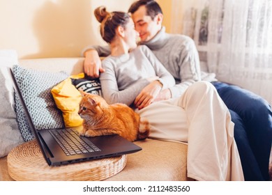 Young Family Couple Relaxing Watching Video Online With Cat Using Laptop At Home. Ginger Pet Sitting On Couch Looking At Screen. Curious Animal Interested In Film Or Movie