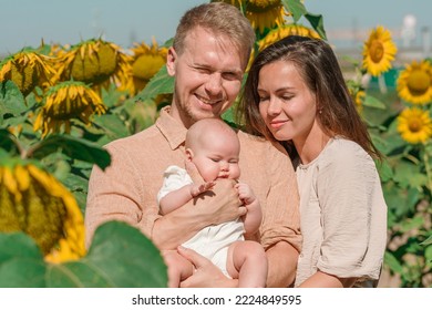 A Young Family With A Little Cute Baby In A Field Of Sunflowers. Happy Summer, Family Activities And Outdoors Lifestyle.